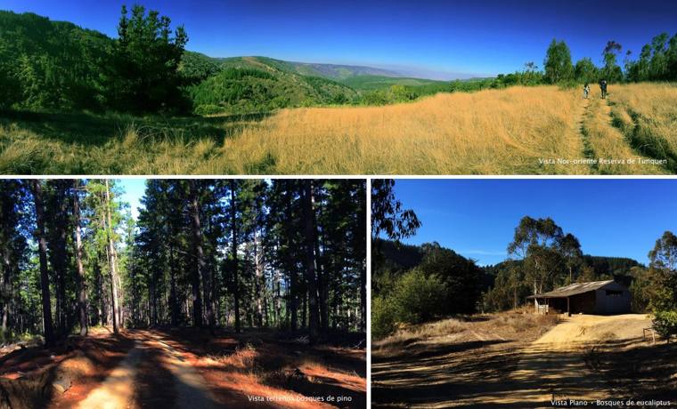 Parcela 3,6 Hectáreas en Reserva de Tunquen